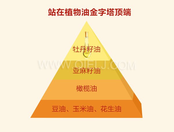 牡丹籽油的生產(chǎn)設(shè)備 鄭州企鵝有物理冷榨法和亞臨界生物技術(shù)低溫萃取法(圖1) 牡丹籽油精煉設(shè)備