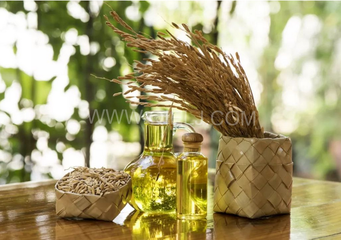 米糠油精煉設備,企鵝機械不斷創新提升工藝效果(圖1) 米糠油精煉設備,企鵝機械不斷創新提升工藝效果(圖1)